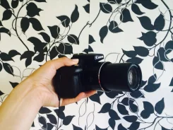 Canon PowerShot SX50 HS. ���: 14� � ����� ����