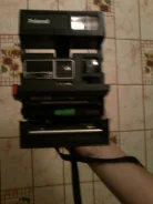 Polaroid. 5 - 5.9 ��, ���: ��� ���� ����