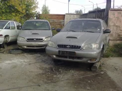 Kia Carnival ����