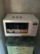 Panasonic