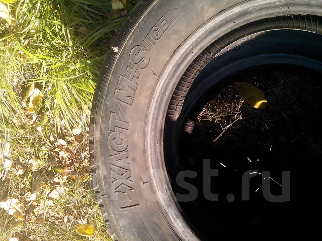 Sava Exact. ������, ��� ����, 1999 ���, �/�, ����� 30 % ����