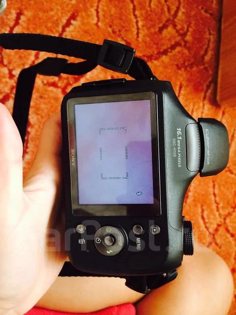 Sony Cyber-shot DSC-H100. 15 - 19.9 ��, ���: 14� � ����� ����