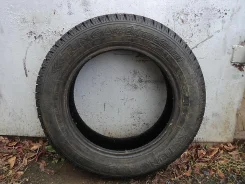 Tunga Extreme Contact. ������, ��� �����, 2006 ���, 30�%, 4 ��