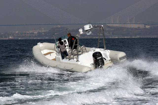Dafman. 2009 ���, ����� 8,5��., ��������� ���������, 250��.�., ������ ����