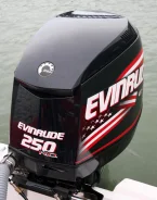 Evinrude. 2007 ��� ����