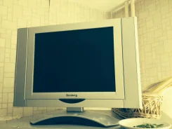 Elenberg. LCD (��) ����