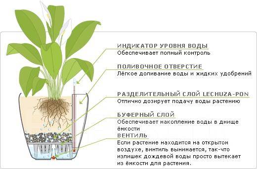 Горшок с автополивом схема