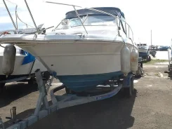 SeaRay. 1990 ���, ��������� ���������, ������ ����