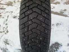 Kelly Winter Ice. ������, ����������, 2013 ���, ����� ����