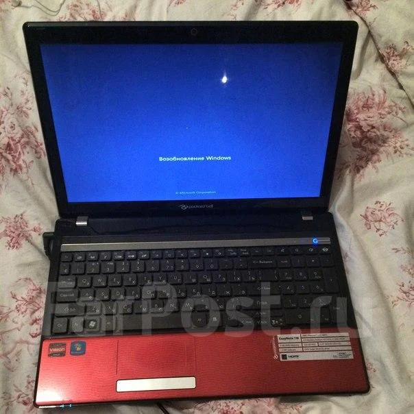 Packard Bell. 15.6", ��� 512 ��, ���� 320���, WiFi: 1 ����