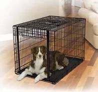 Клетки. Под заказ