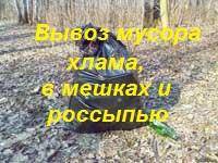 Вывоз мусора.