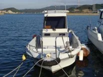 Yanmar. 1996 ���, ��������� ���������, ������ ����