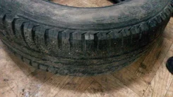 Fortuna. ������, ��� �����, �/�, ����� 20�% ����