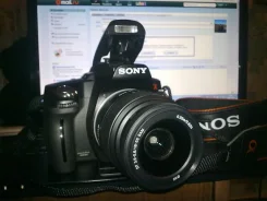 Sony Alpha DSLR-A390. ��� �����