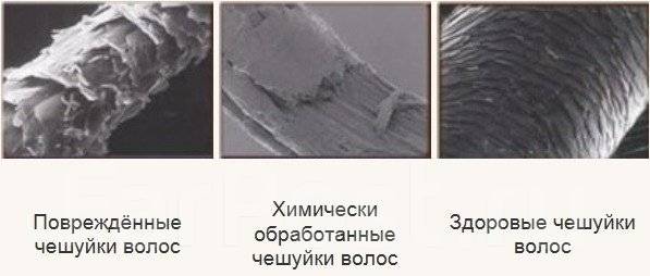Волосы под микроскопом после кератинового выпрямления. Механические повреждения волос. Строение волоса чешуйки. Поврежденные волосы. Заполните таблицу вид поврежденных волос причина повреждения волос.