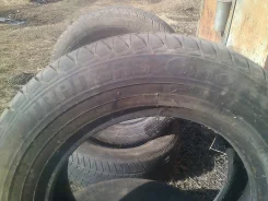 Viking TransTech. ������, 2009 ���, �/�, ����� 40 % ����