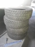 Dunlop SP 65. ������, ��� �����, 2008 ���, 5�%, 4 ��