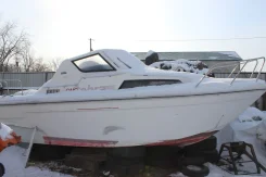 Cobra. 1996 ���, ��������� ���������, ������ ����