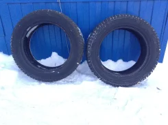 Winter Tact. ������, ����������, �/�, ����� 40�% ����