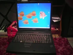 Toshiba Dynabook SS. 768,0����, ��� 768 ��, ���� 20���, ����������� �� 1��.