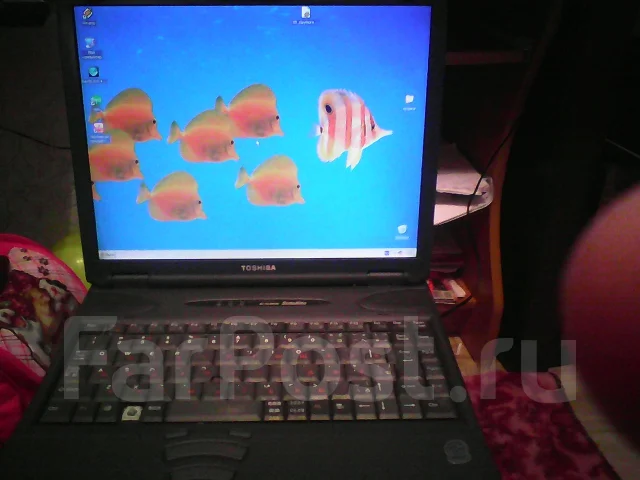 Toshiba Dynabook SS. 768����, ��� 768 ��, ���� 20���, ����������� �� 1��. ����
