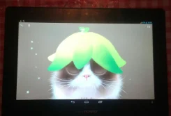 Lenovo IdeaTab S6000 ����