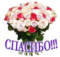 Розы.