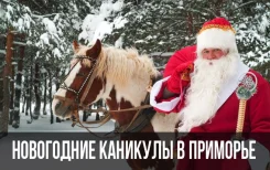 Новогодние Каникулы В Приморском Крае