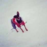 ������.