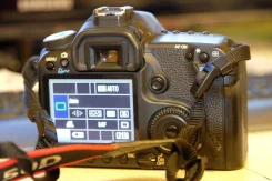 Canon EOS 50D. 15 - 19.9 ��, ���: ��� ����