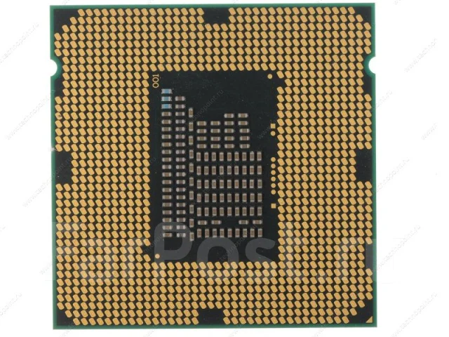 Intel Core i3-2120 ����