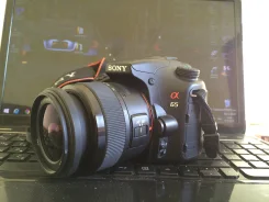 Sony Alpha SLT-A65. 20 � ����� �� ����