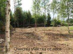 Спилим деревья бесплатно. Владивосток Артем Надеждинск.