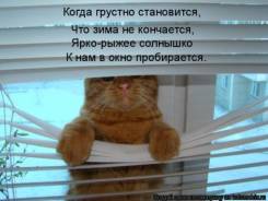 Жалюзи горизонтальные. Под заказ
