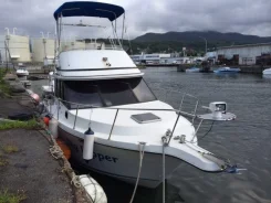 Yamaha PC-31. 1996 ���, ��������� ������������, ������. ��� ����� �� ������������ ����