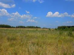 Продам участок земли, граничащий с Лазовским заповедником. 35 740 кв. м., собственность, электричество, вода, от частного лица (собственник). Документ...
