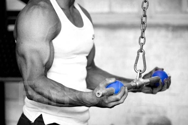 Reverse Grip Pulldown