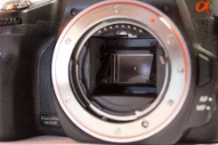 Sony Alpha DSLR-A390 Kit. 10 - 14.9 ��, ���: 14� � ����� ����