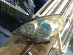 Фара. Nissan Wingroad, WPY11, WFNY11, WHY11, WRY11, WFY11, WHNY11, Y11