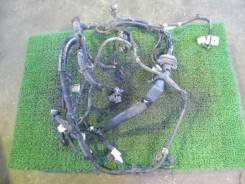 Проводка двс. Toyota Vitz, NCP131, NCP10, NCP13 Toyota Yaris, NCP13, NCP10, NCP131 Toyota Echo, NCP13, NCP10 Toyota Yaris / Echo, NCP10, NCP13 Двигате...