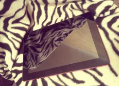 Asus Transformer Pad TF300T 32Gb