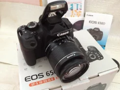 Canon EOS 650D Kit. 15 - 19.9 ��, ���: 14� � �����