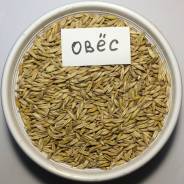 Сидераты.