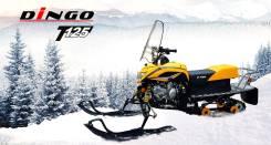 Irbis Dingo T125. исправен, есть птс, без пробега