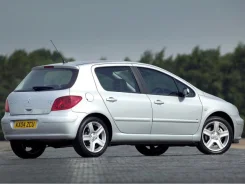 Peugeot 307 ����