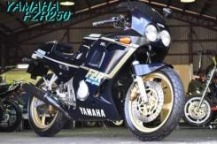 Yamaha FZR 250
