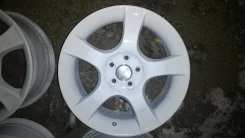Catwild. x17, 5x100.00