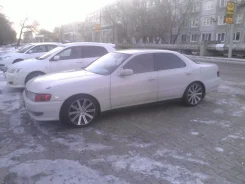 Vertini. x17" ����