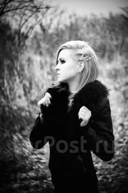 Nikon D2Hs ����